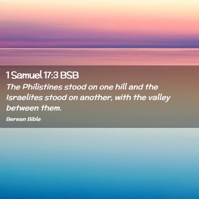 Picture 02 - 1 Samuel 17:3 BSB - The Philistines stood on one hill and the - Bible Verse Picture