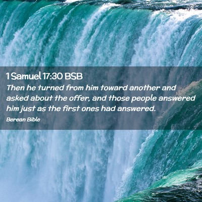 Picture 02 - 1 Samuel 17:30 BSB - Then he turned from him toward another and asked - Bible Verse Picture