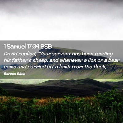 Picture 02 - 1 Samuel 17:34 BSB - David replied, “Your servant has been tending - Bible Verse Picture