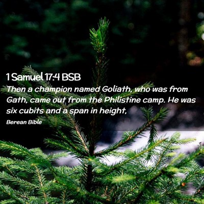 Picture 02 - 1 Samuel 17:4 BSB - Then a champion named Goliath, who was from Gath, - Bible Verse Picture