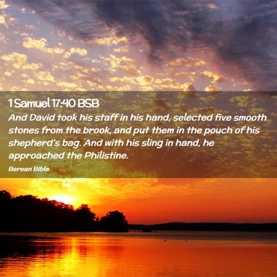 Picture 02 - 1 Samuel 17:40 BSB - And David took his staff in his hand, selected - Bible Verse Picture