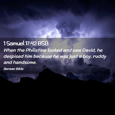 Picture 02 - 1 Samuel 17:42 BSB - When the Philistine looked and saw David, he - Bible Verse Picture