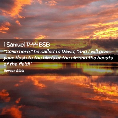 Picture 02 - 1 Samuel 17:44 BSB - “Come here,” he called to David, “and I - Bible Verse Picture