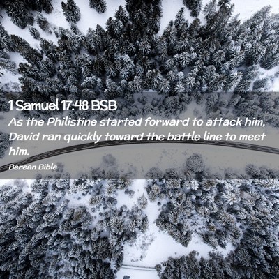 Picture 02 - 1 Samuel 17:48 BSB - As the Philistine started forward to attack him, - Bible Verse Picture
