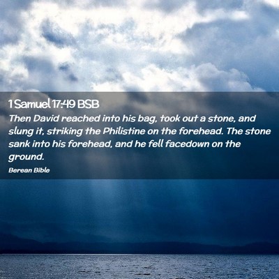Picture 02 - 1 Samuel 17:49 BSB - Then David reached into his bag, took out a - Bible Verse Picture