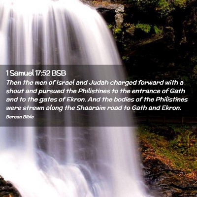 Picture 02 - 1 Samuel 17:52 BSB - Then the men of Israel and Judah charged forward - Bible Verse Picture