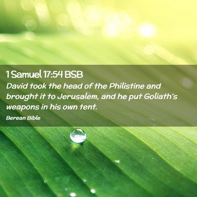 Picture 02 - 1 Samuel 17:54 BSB - David took the head of the Philistine and brought - Bible Verse Picture