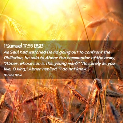 Picture 02 - 1 Samuel 17:55 BSB - As Saul had watched David going out to confront - Bible Verse Picture