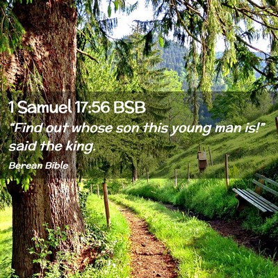 Picture 02 - 1 Samuel 17:56 BSB - “Find out whose son this young man is!” said - Bible Verse Picture