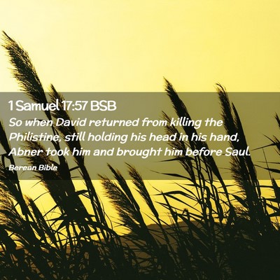 Picture 02 - 1 Samuel 17:57 BSB - So when David returned from killing the - Bible Verse Picture