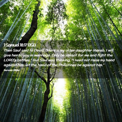 Picture 02 - 1 Samuel 18:17 BSB - Then Saul said to David, “Here is my older - Bible Verse Picture