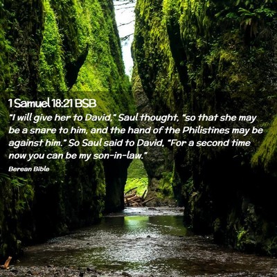 Picture 02 - 1 Samuel 18:21 BSB - “I will give her to David,” Saul thought, - Bible Verse Picture