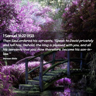 Picture 02 - 1 Samuel 18:22 BSB - Then Saul ordered his servants, “Speak to David - Bible Verse Picture