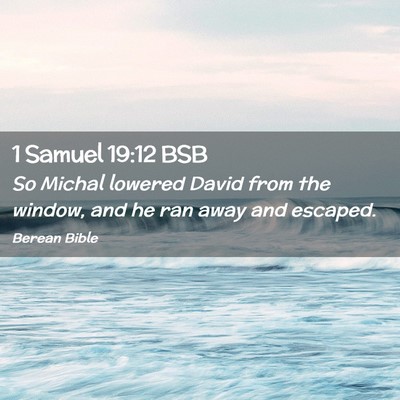 Picture 02 - 1 Samuel 19:12 BSB - So Michal lowered David from the window, and he - Bible Verse Picture