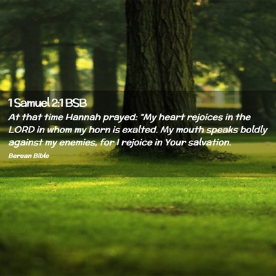 Picture 02 - 1 Samuel 2:1 BSB - At that time Hannah prayed: “My heart rejoices - Bible Verse Picture