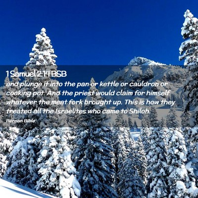 Picture 02 - 1 Samuel 2:14 BSB - and plunge it into the pan or kettle or cauldron - Bible Verse Picture