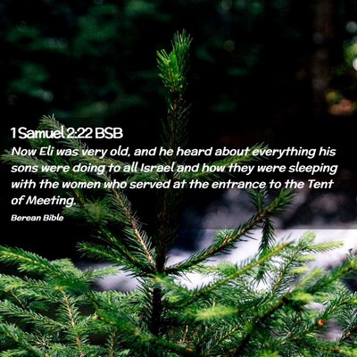 Picture 02 - 1 Samuel 2:22 BSB - Now Eli was very old, and he heard about - Bible Verse Picture