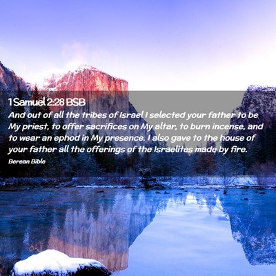 Picture 02 - 1 Samuel 2:28 BSB - And out of all the tribes of Israel I selected - Bible Verse Picture