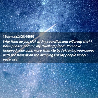 Picture 02 - 1 Samuel 2:29 BSB - Why then do you kick at My sacrifice and offering - Bible Verse Picture