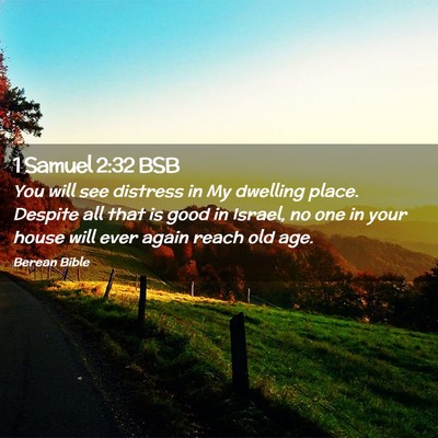 Picture 02 - 1 Samuel 2:32 BSB - You will see distress in My dwelling place. - Bible Verse Picture