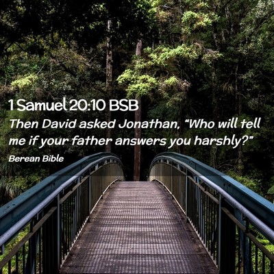 Picture 02 - 1 Samuel 20:10 BSB - Then David asked Jonathan, “Who will tell me if - Bible Verse Picture