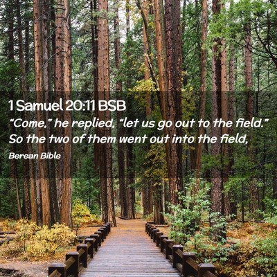 Picture 02 - 1 Samuel 20:11 BSB - “Come,” he replied, “let us go out to the - Bible Verse Picture