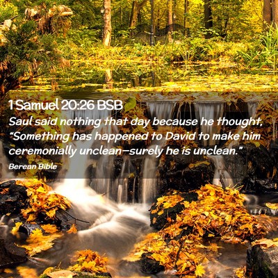 Picture 02 - 1 Samuel 20:26 BSB - Saul said nothing that day because he thought, - Bible Verse Picture