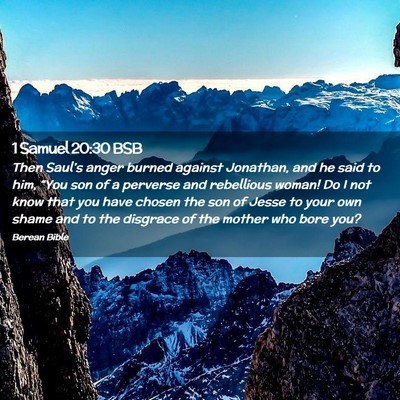 Picture 02 - 1 Samuel 20:30 BSB - Then Saul’s anger burned against Jonathan, and - Bible Verse Picture