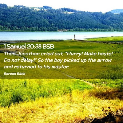 Picture 02 - 1 Samuel 20:38 BSB - Then Jonathan cried out, “Hurry! Make haste! Do - Bible Verse Picture