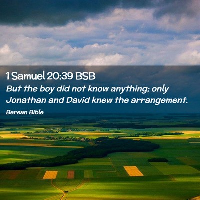 Picture 02 - 1 Samuel 20:39 BSB - But the boy did not know anything; only Jonathan - Bible Verse Picture