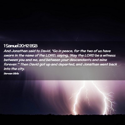 Picture 02 - 1 Samuel 20:42 BSB - And Jonathan said to David, “Go in peace, for - Bible Verse Picture