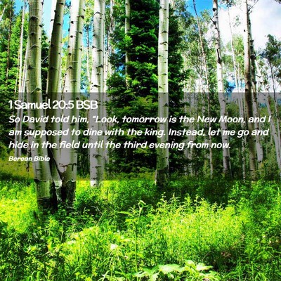 Picture 02 - 1 Samuel 20:5 BSB - So David told him, “Look, tomorrow is the New - Bible Verse Picture