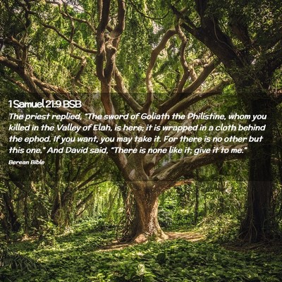 Picture 02 - 1 Samuel 21:9 BSB - The priest replied, “The sword of Goliath the - Bible Verse Picture
