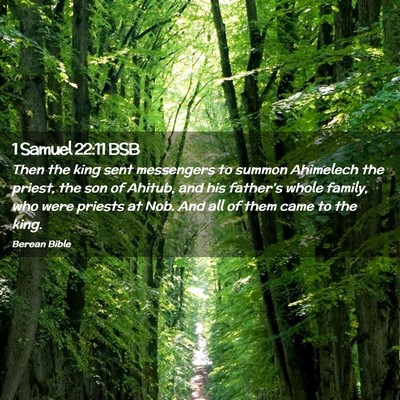 Picture 02 - 1 Samuel 22:11 BSB - Then the king sent messengers to summon Ahimelech - Bible Verse Picture
