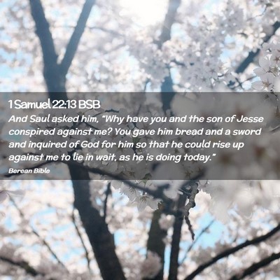 Picture 02 - 1 Samuel 22:13 BSB - And Saul asked him, “Why have you and the son - Bible Verse Picture