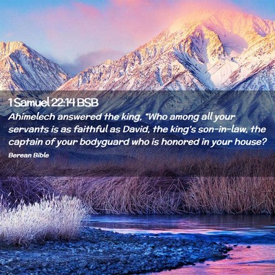 Picture 02 - 1 Samuel 22:14 BSB - Ahimelech answered the king, “Who among all - Bible Verse Picture