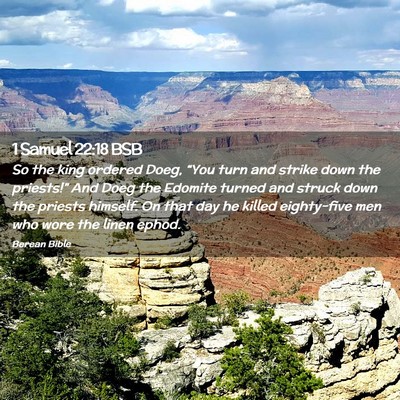 Picture 02 - 1 Samuel 22:18 BSB - So the king ordered Doeg, “You turn and strike - Bible Verse Picture