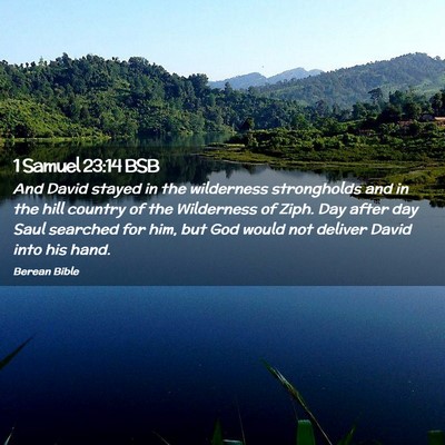 Picture 02 - 1 Samuel 23:14 BSB - And David stayed in the wilderness strongholds - Bible Verse Picture