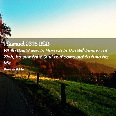 Picture 02 - 1 Samuel 23:15 BSB - While David was in Horesh in the Wilderness of - Bible Verse Picture