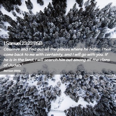 Picture 02 - 1 Samuel 23:23 BSB - Observe and find out all the places where he - Bible Verse Picture