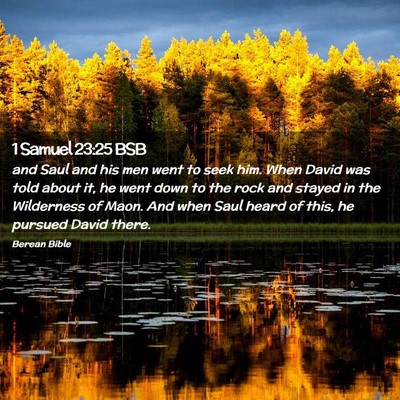 Picture 02 - 1 Samuel 23:25 BSB - and Saul and his men went to seek him. When David - Bible Verse Picture