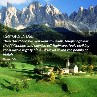 Picture 02 - 1 Samuel 23:5 BSB - Then David and his men went to Keilah, fought - Bible Verse Picture