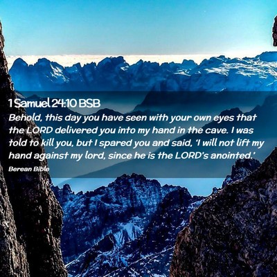 Picture 02 - 1 Samuel 24:10 BSB - Behold, this day you have seen with your own eyes - Bible Verse Picture