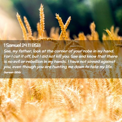 Picture 02 - 1 Samuel 24:11 BSB - See, my father, look at the corner of your robe - Bible Verse Picture
