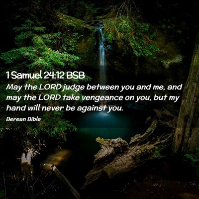 Picture 02 - 1 Samuel 24:12 BSB - May the LORD judge between you and me, and may - Bible Verse Picture