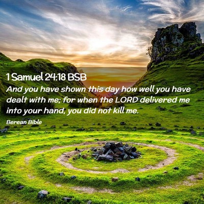Picture 02 - 1 Samuel 24:18 BSB - And you have shown this day how well you have - Bible Verse Picture