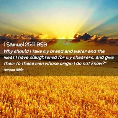Picture 02 - 1 Samuel 25:11 BSB - Why should I take my bread and water and the meat - Bible Verse Picture