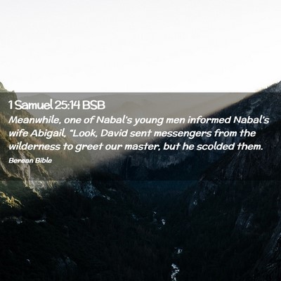 Picture 02 - 1 Samuel 25:14 BSB - Meanwhile, one of Nabal’s young men informed - Bible Verse Picture