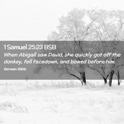 Picture 02 - 1 Samuel 25:23 BSB - When Abigail saw David, she quickly got off the - Bible Verse Picture