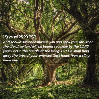 Picture 02 - 1 Samuel 25:29 BSB - And should someone pursue you and seek your life, - Bible Verse Picture